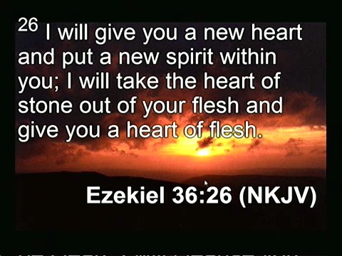 The Kingdom of God 