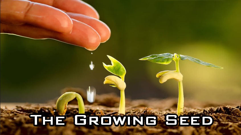 The Growing Seed