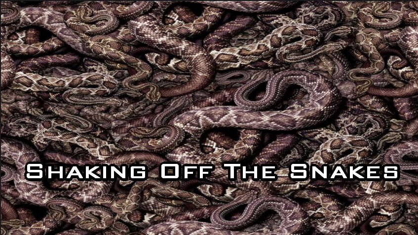 Shaking Off The Snakes