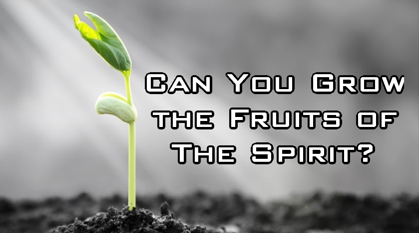 Can You Grow the Fruits of the Spirit
