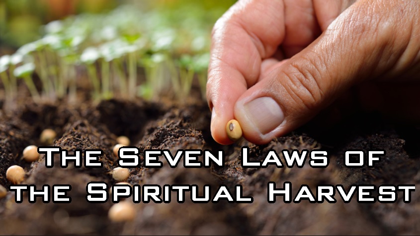 The Seven Laws of The Spiritual Harvest