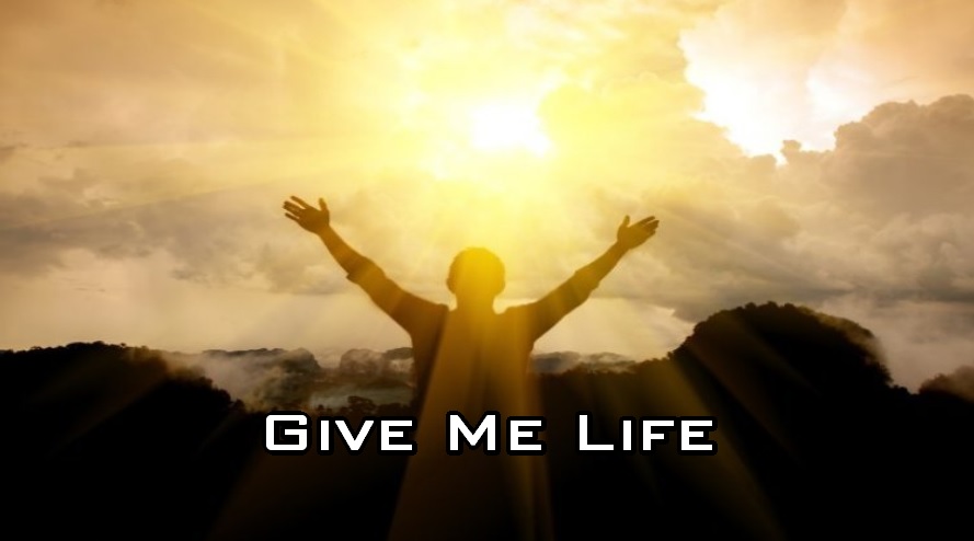 Give Me Life