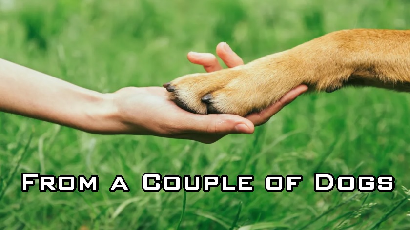 From a Couple of Dogs
