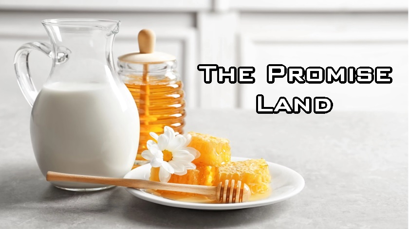The Promise Land