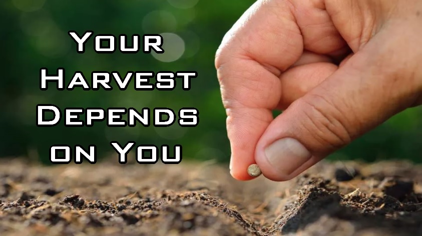 Your Harvest Depends on You