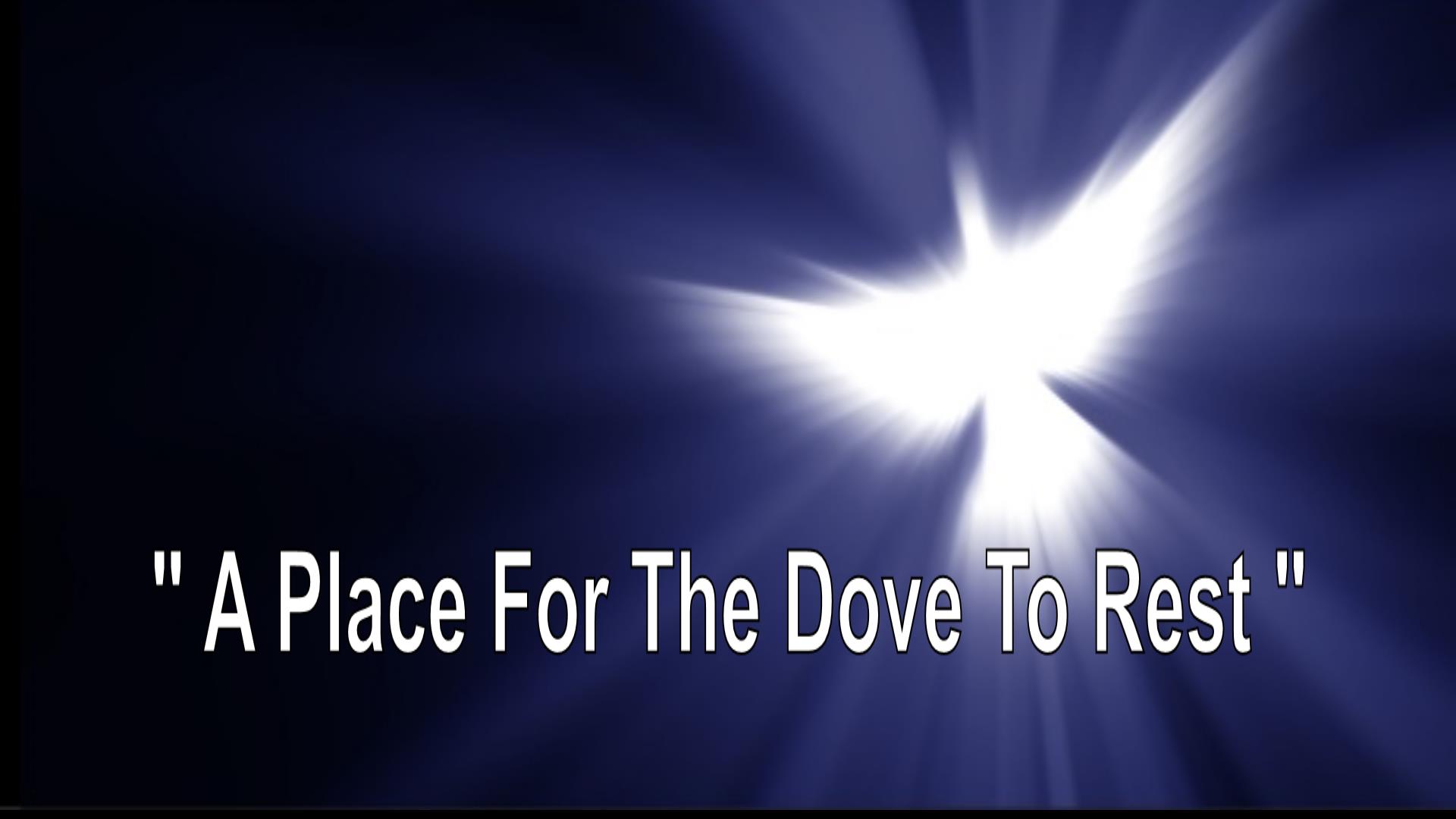 A Place For The Dove To Rest
