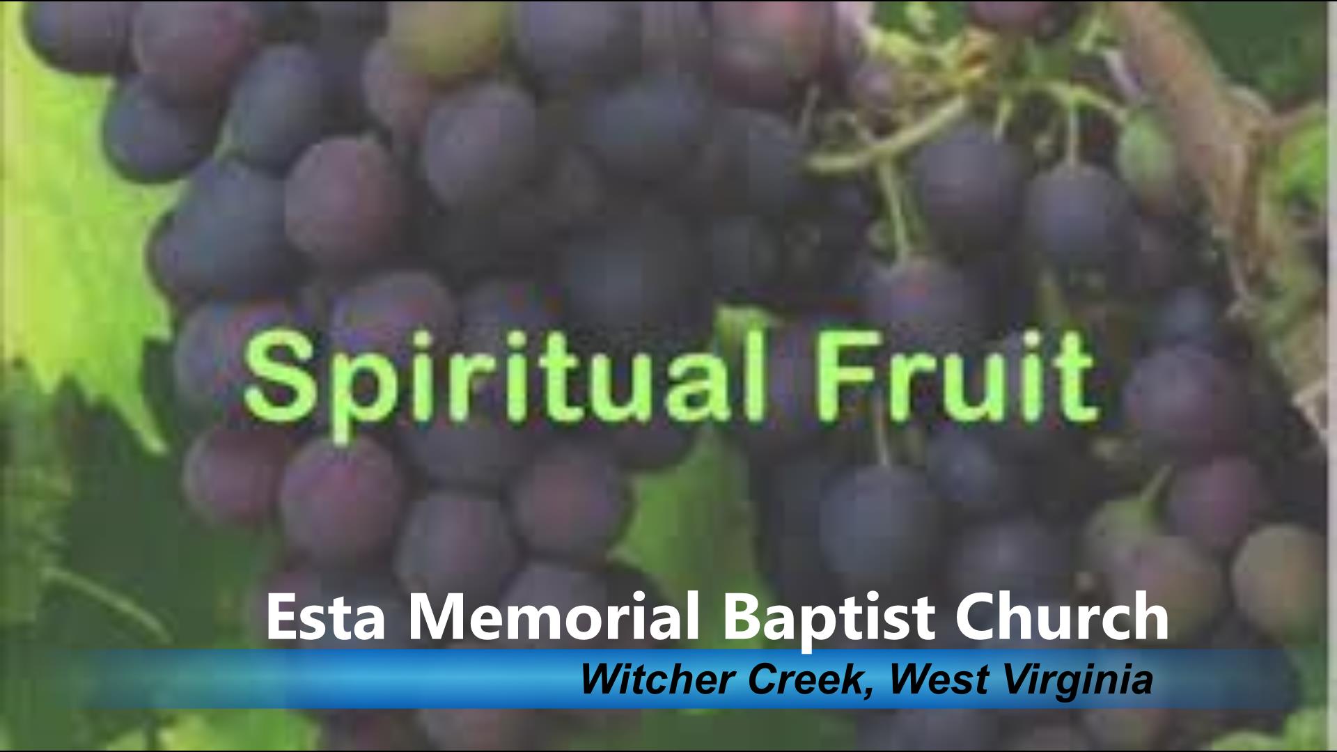 SPIRITUAL  FRUIT