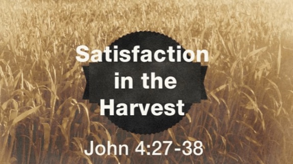 Satisfaction in the Harvest