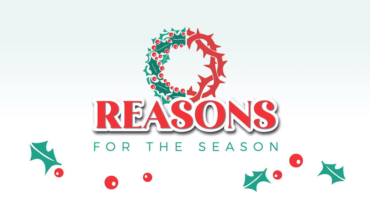 Reasons for the Season Goodwill 