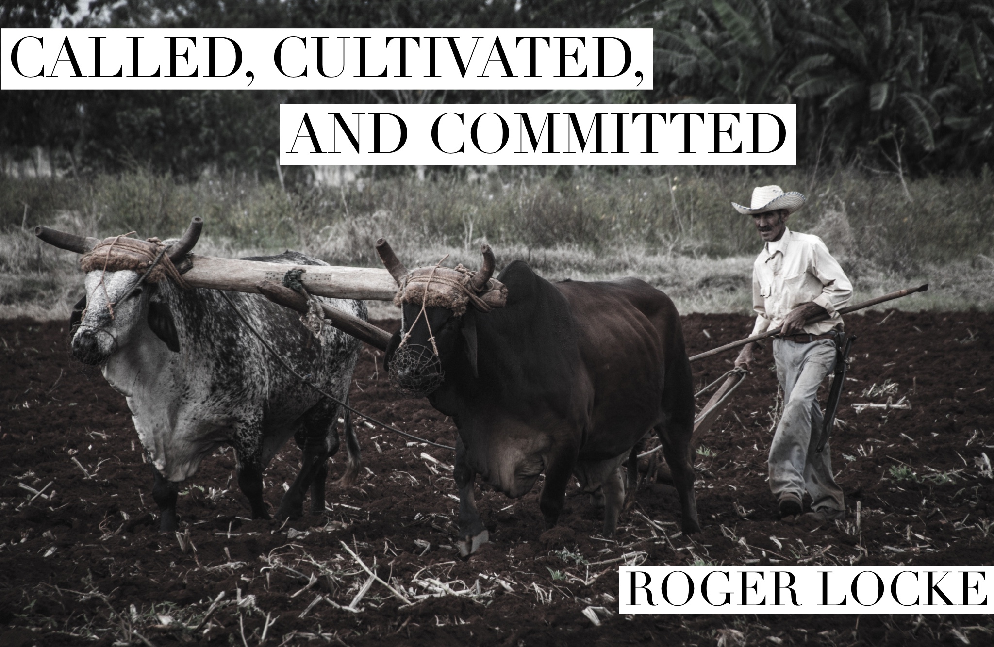 Called Cultivated and Committed