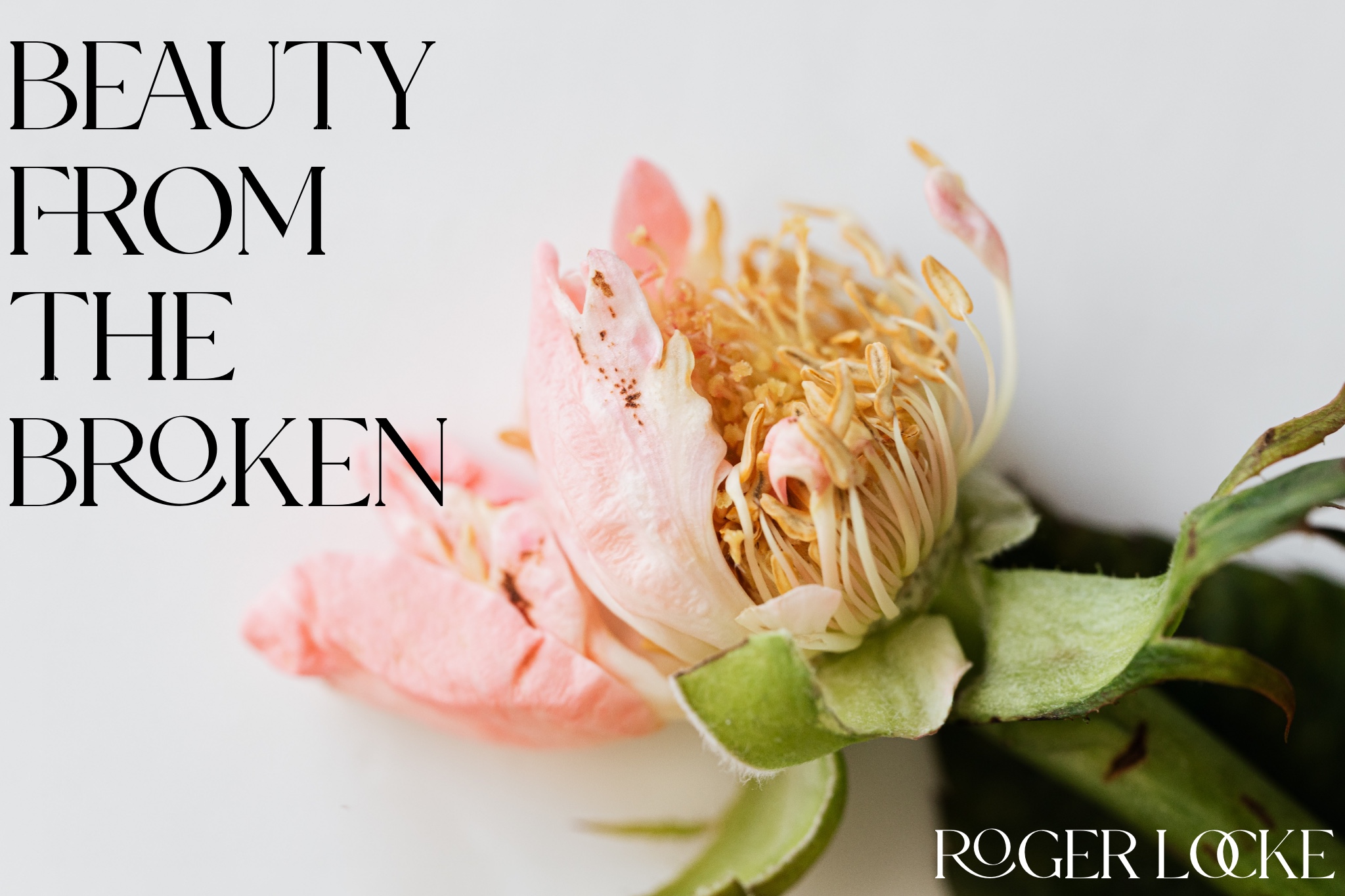 Beauty From The Broken