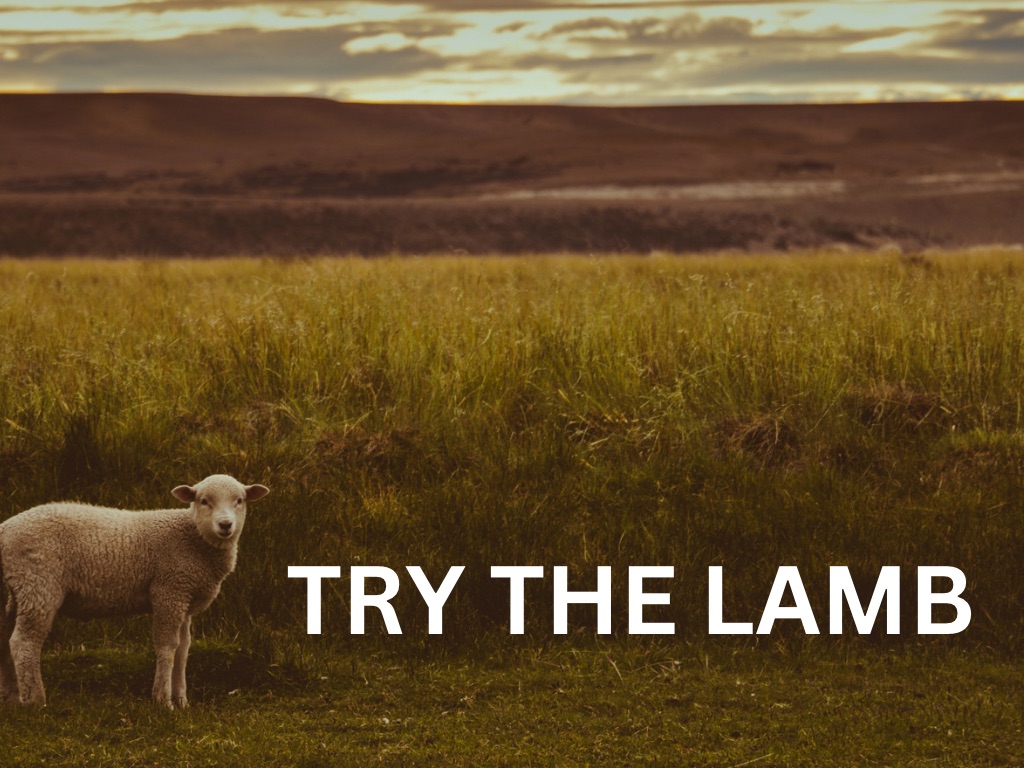 Try the Lamb