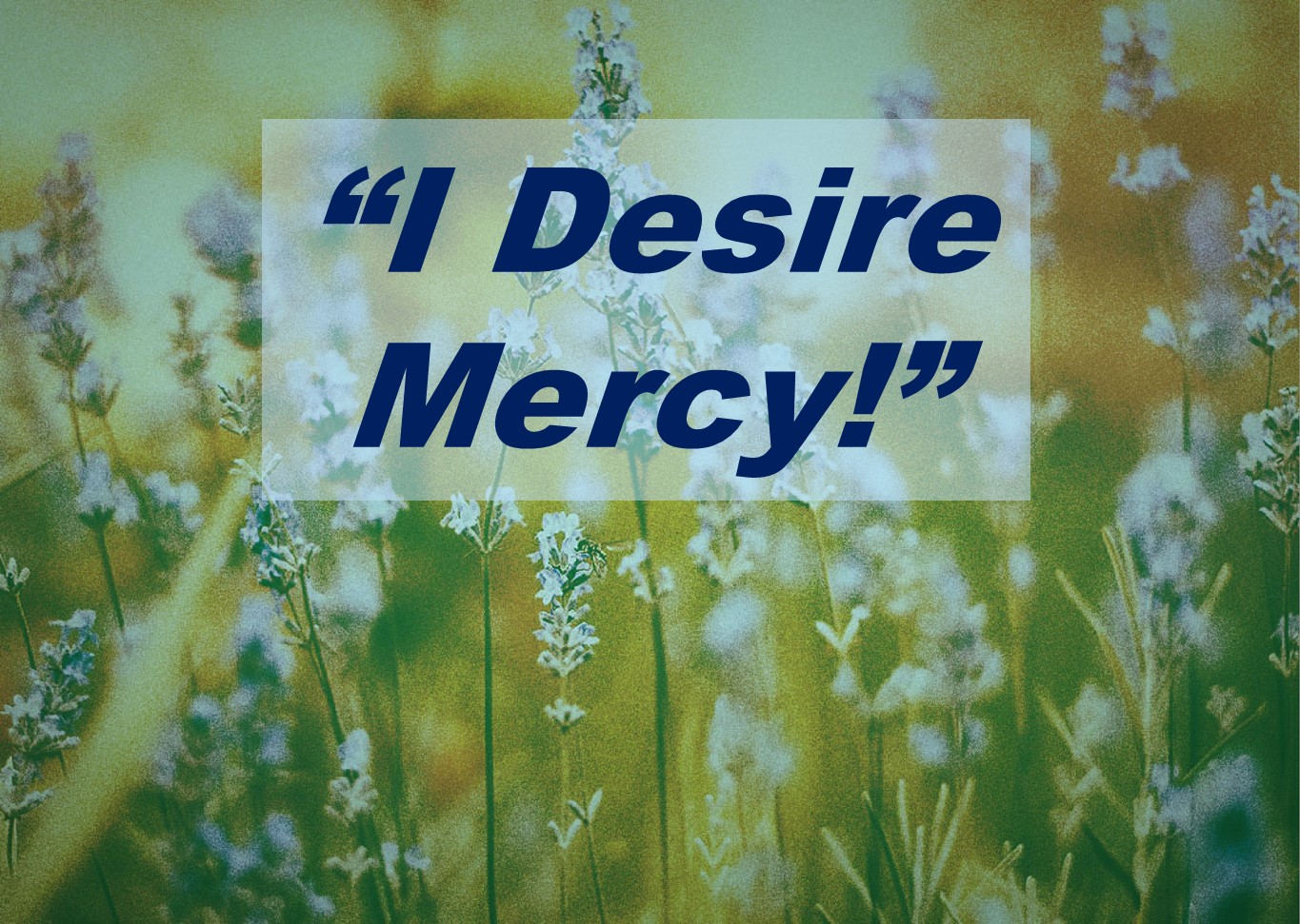 I Desire Mercy! Parable & Message