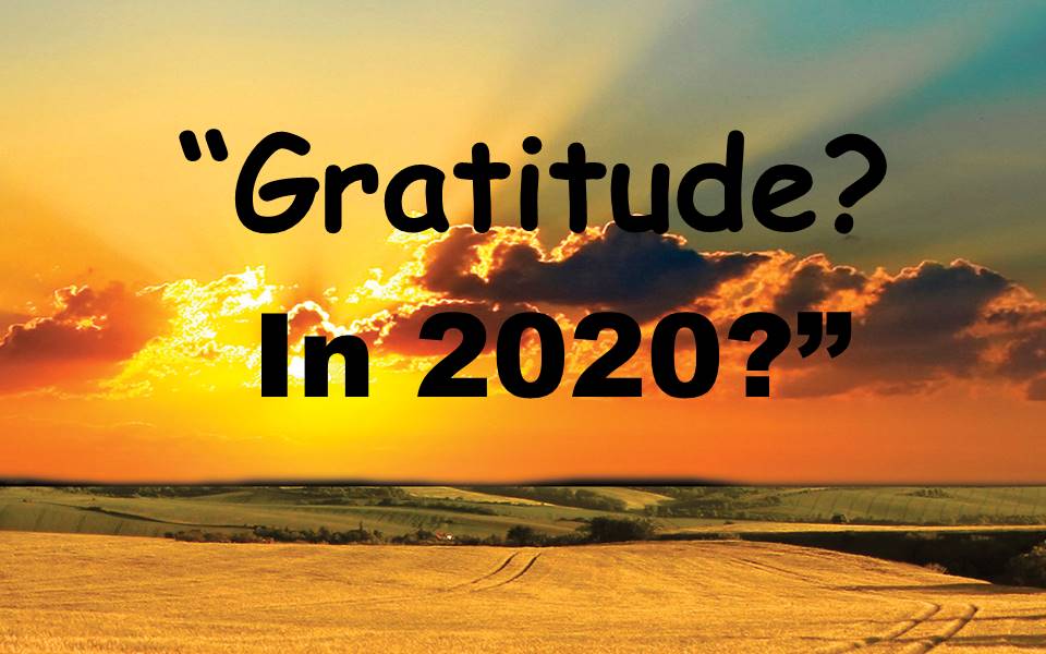 Gratitude--In 2020