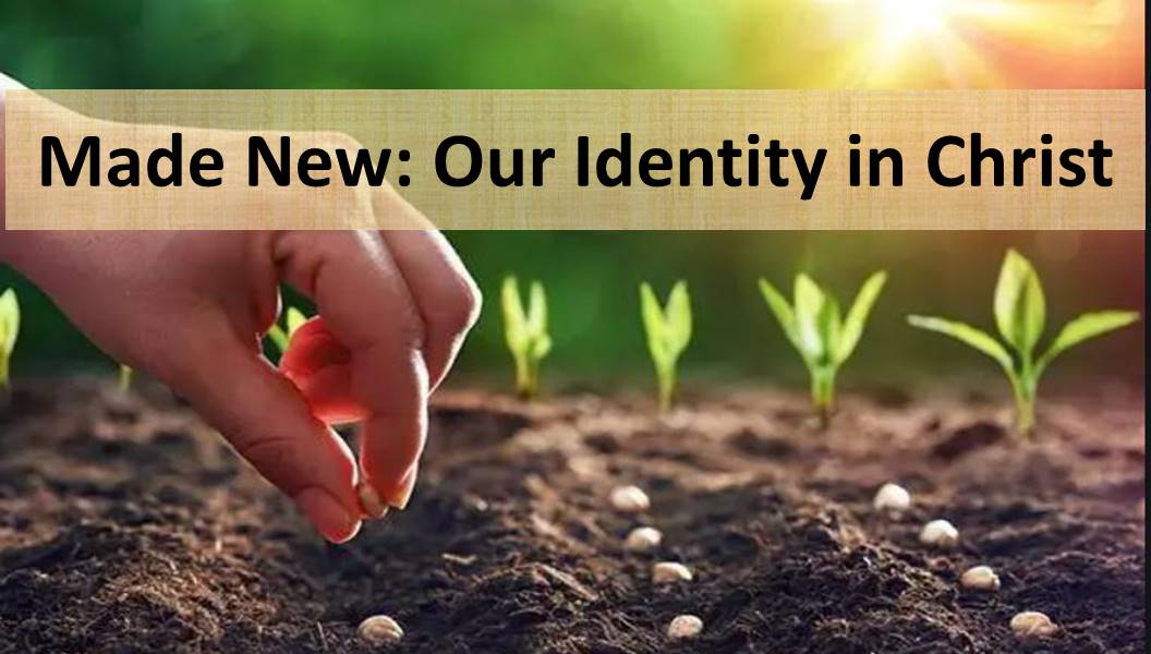 Made New: Our Identity In Christ 