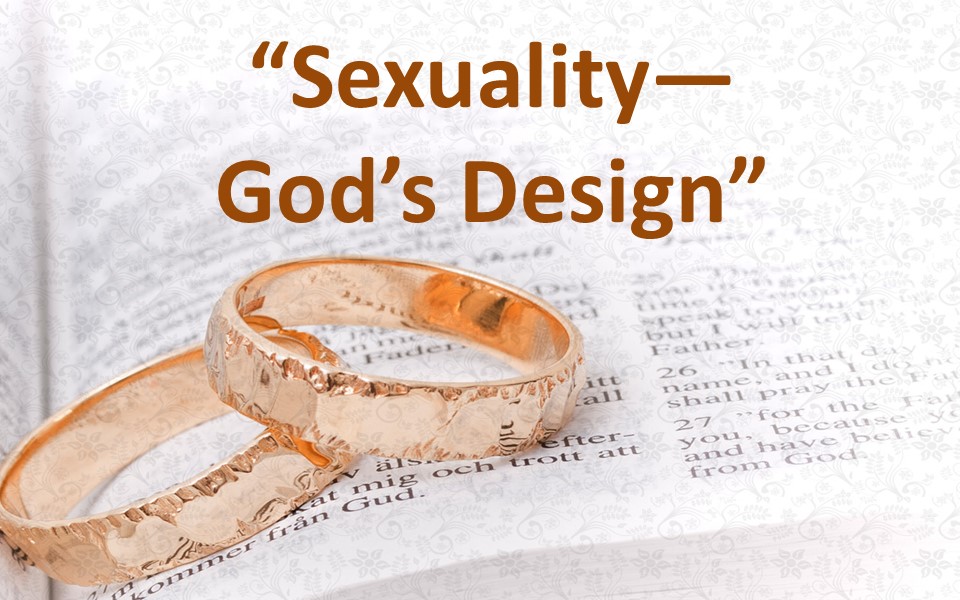 Sexuality--God's Design