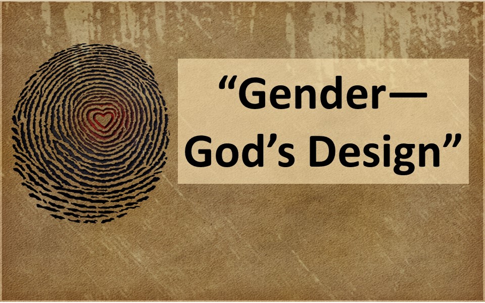 Gender--God's Design