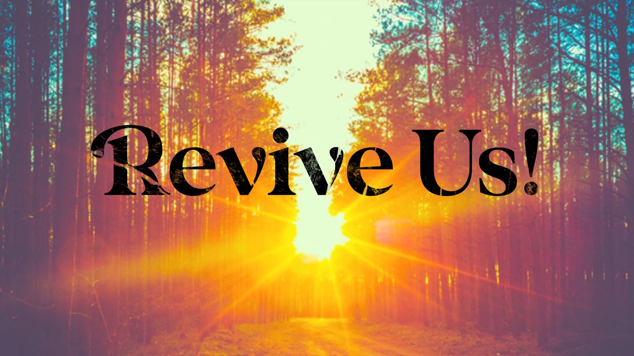 Revive Us