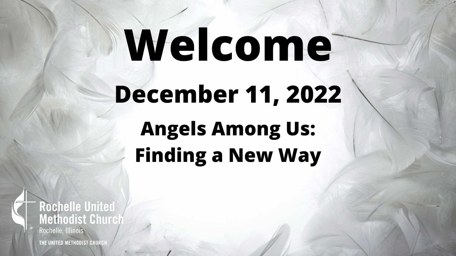 Angels Among Us Finding a New Way