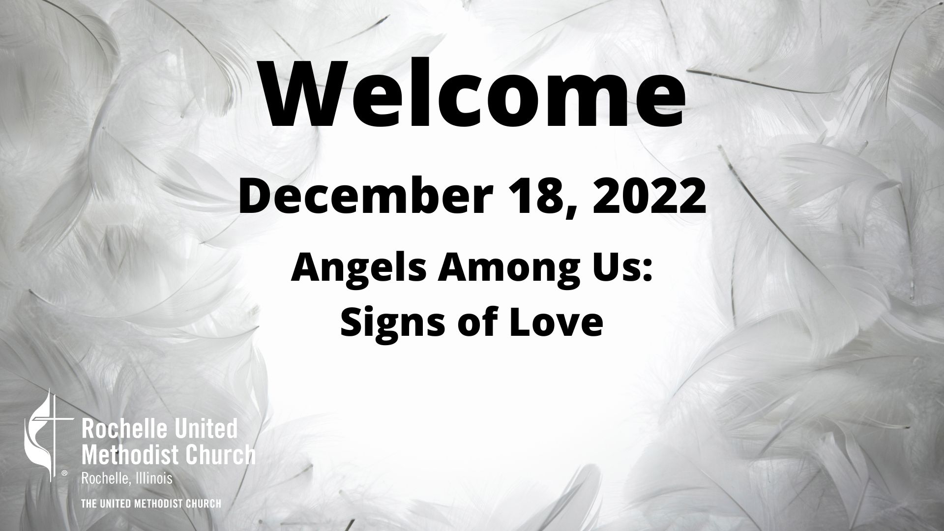 Angels Among Us Signs of Love