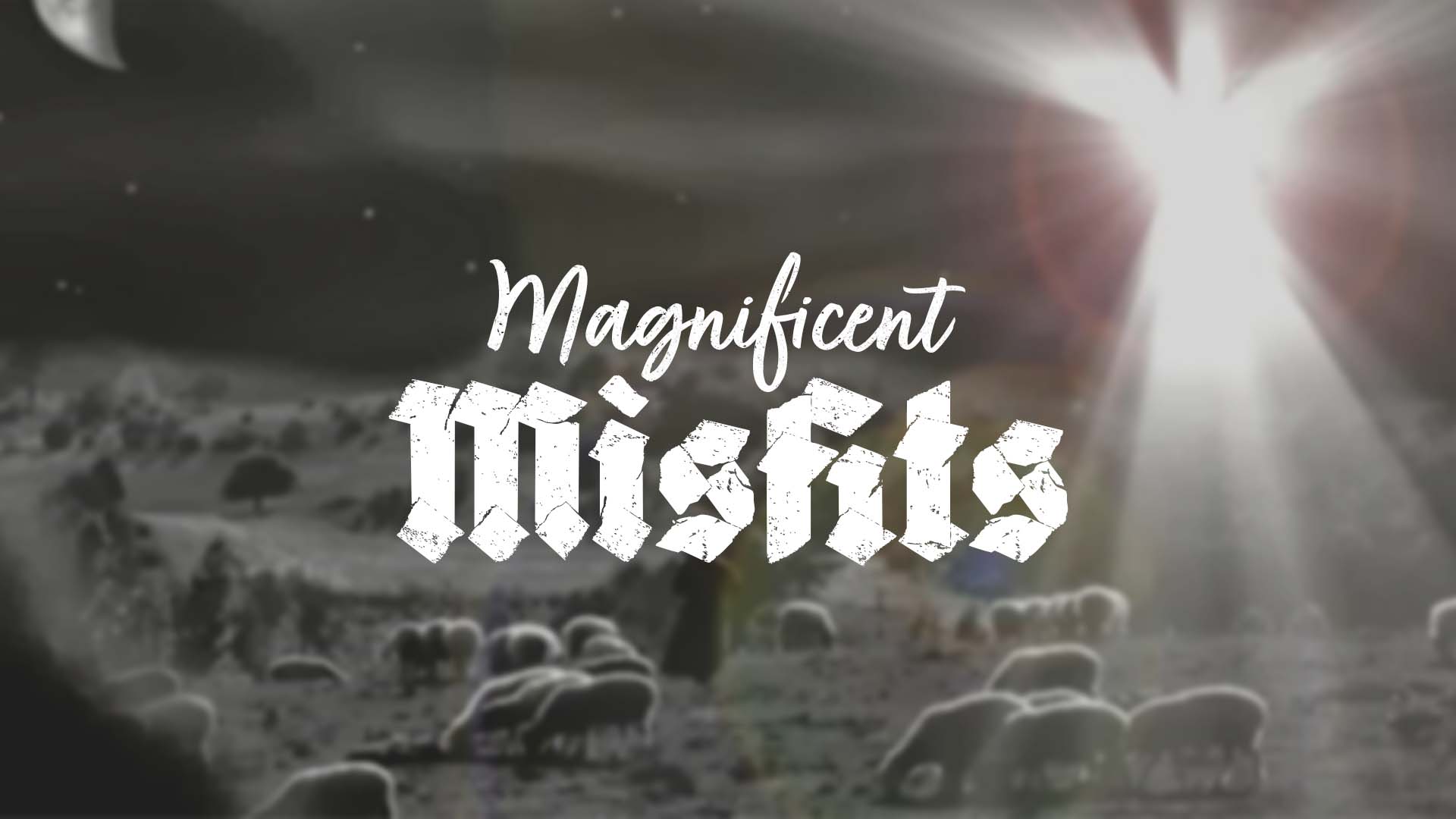 Magnificent Misfits