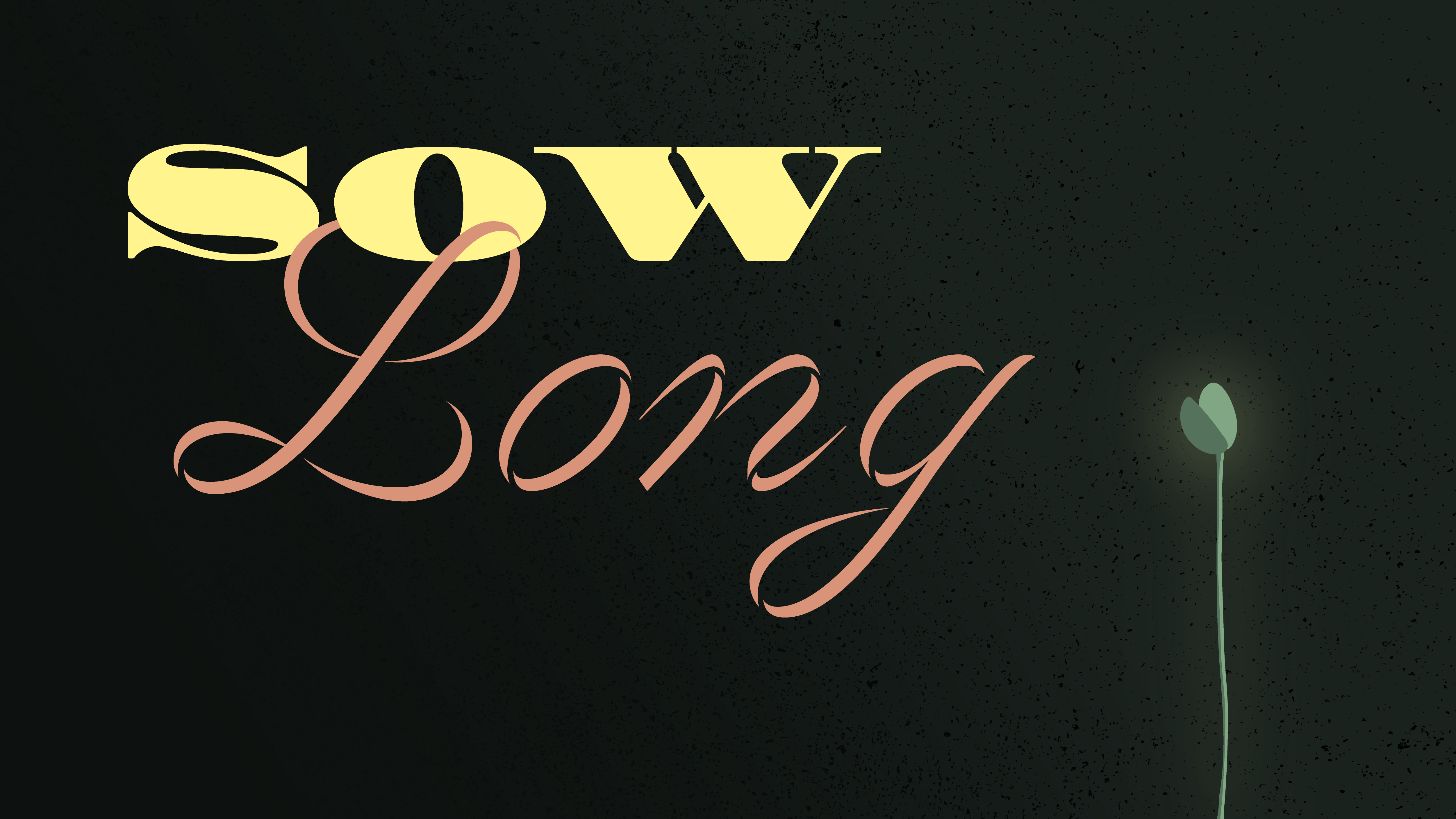 Traditional Service Sow Long