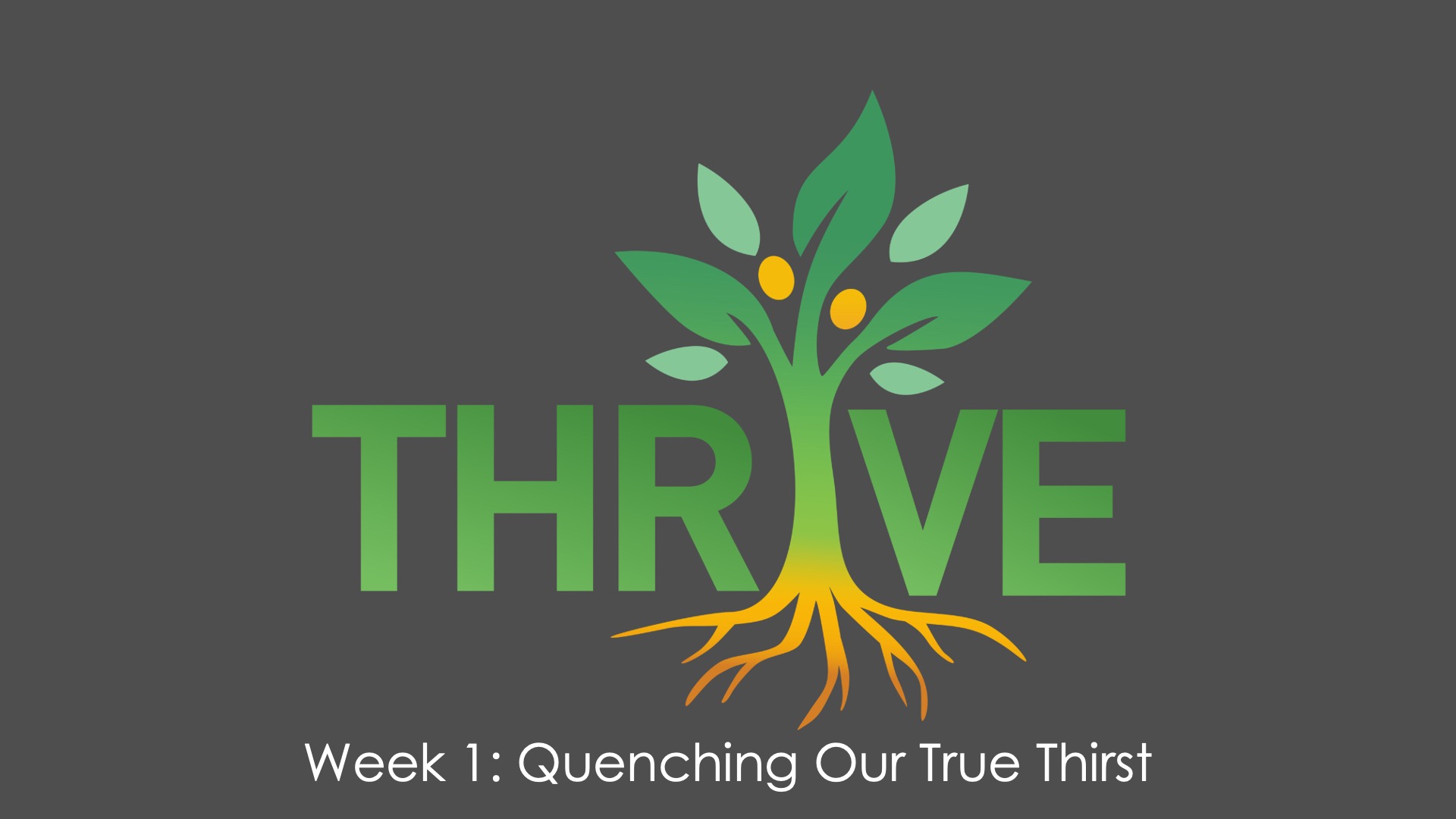 Thrive Week 1  Quenching Our True Thirst