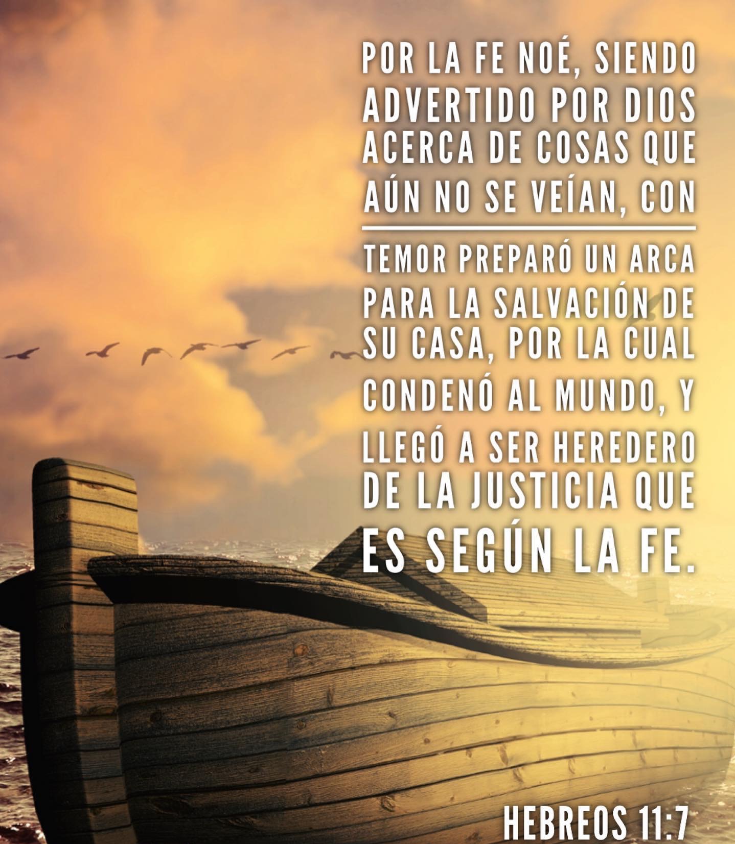 Desiciones