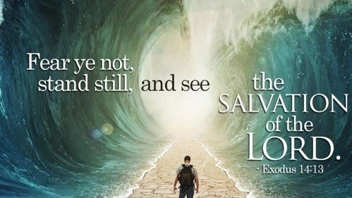 Crossing Your Red Sea