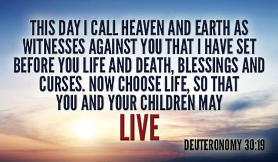 It Your Choice