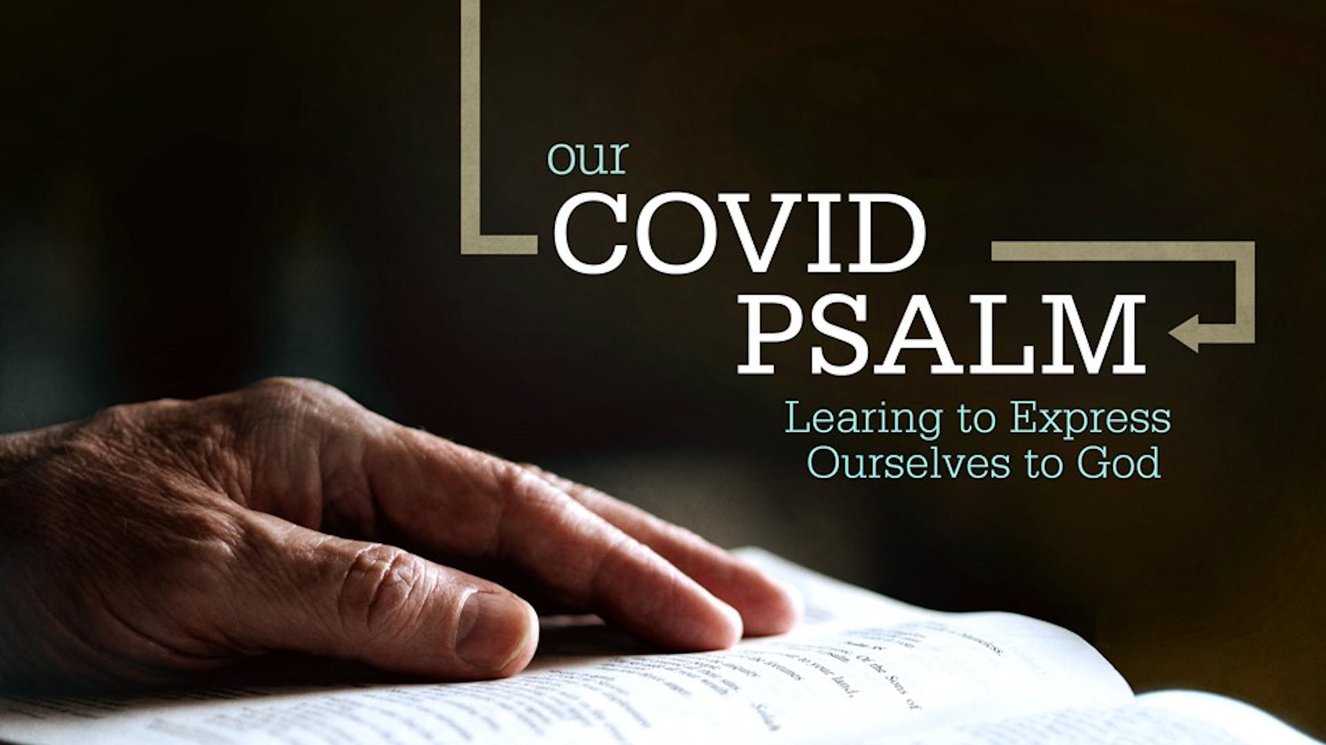 Introduction to the Psalms