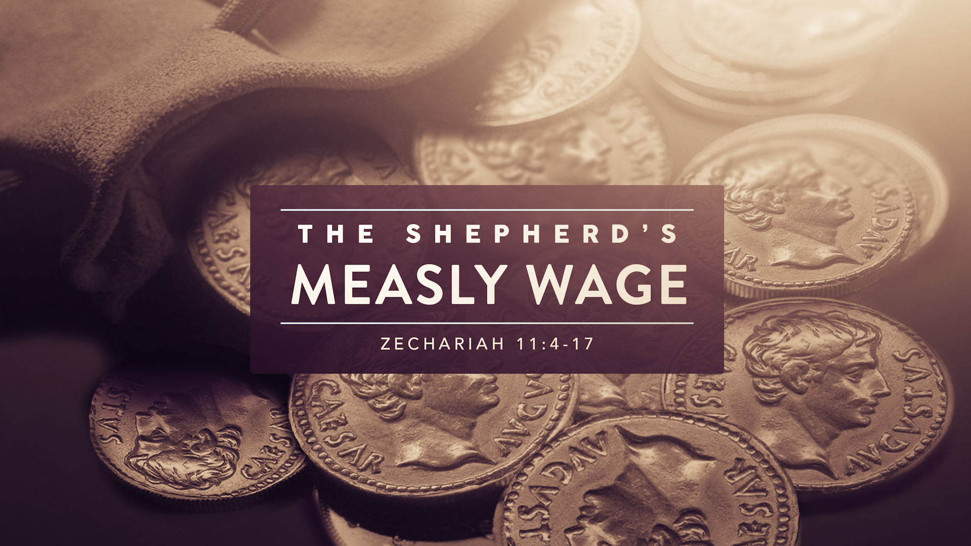 The Shepherd's Measly Wage